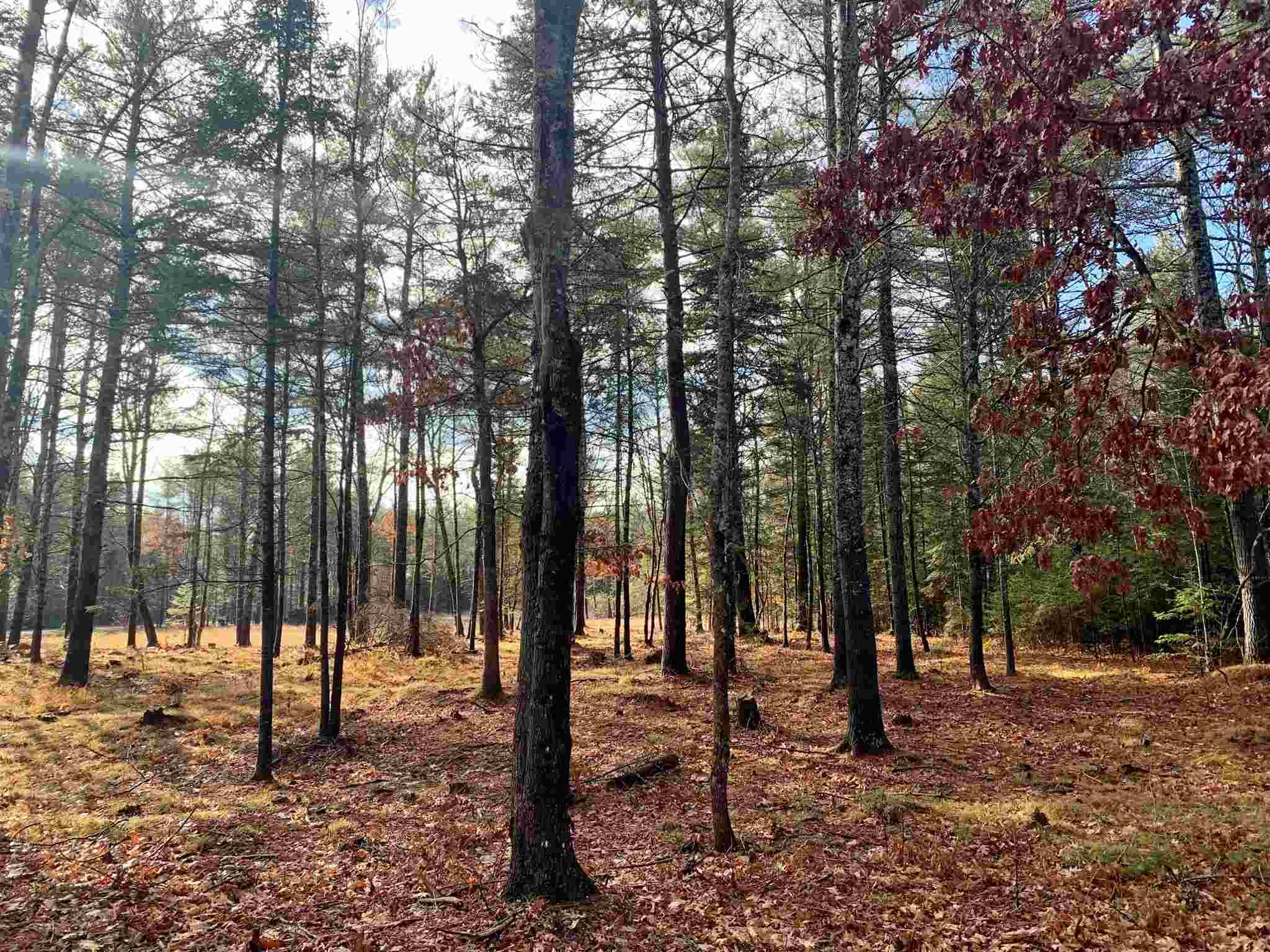 Tuftonboro, NH 03816,#37 Mountain Shadows RD #Lot 37