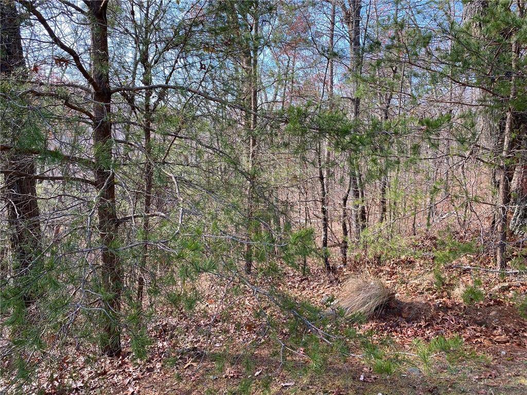 Jasper, GA 30143,97 Sharp Mountain Pkwy