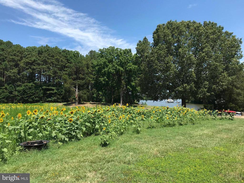 Trappe, MD 21673,BAILDON RD #LOT 15