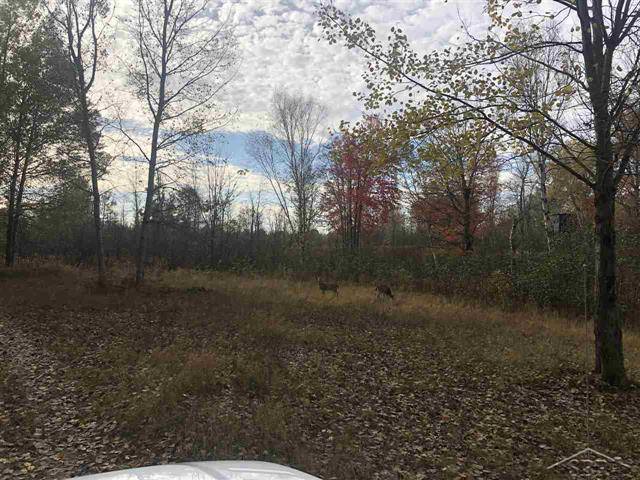 Bourret Twp, MI 48610,V/L ALLEN ROAD