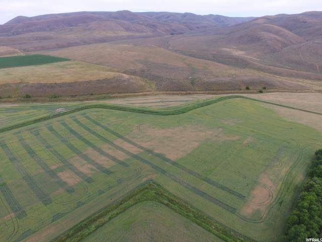 Dingle, ID 83233,189 CEMETERY RD #8