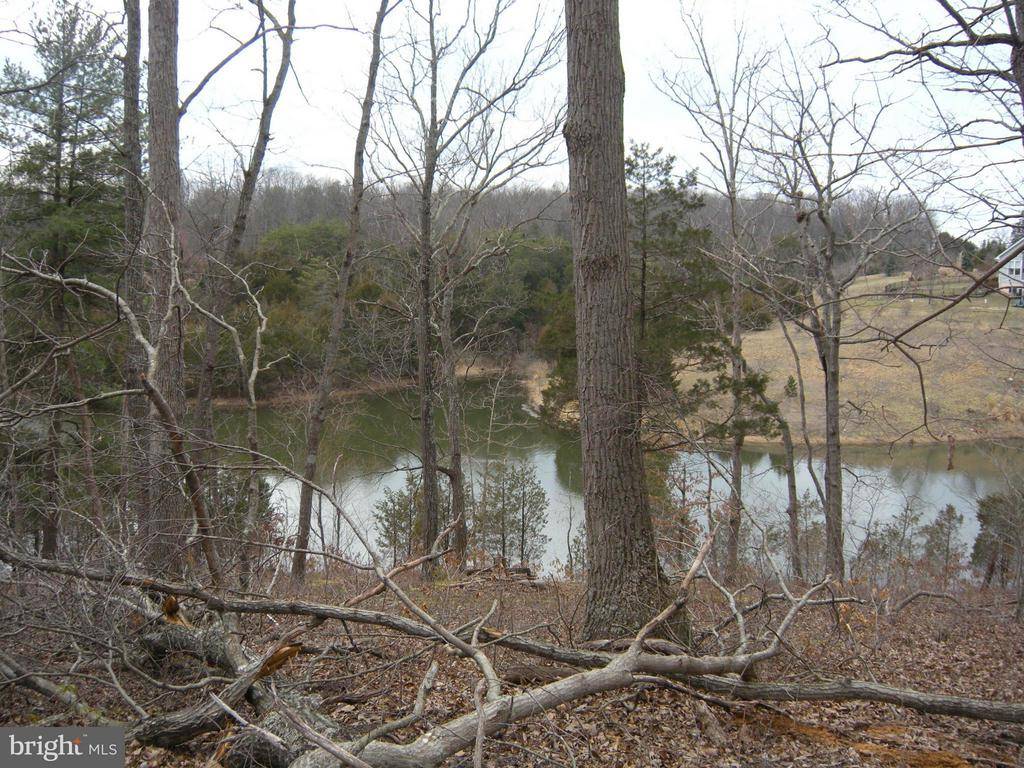 Middletown, VA 22645,-LOT #10 GREAT LAKE DR