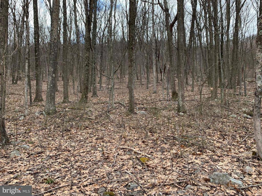 Clearville, PA 15535,LOT 5 MONROE MOUNTAIN ROAD