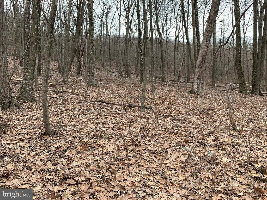 Clearville, PA 15535,LOT 5 MONROE MOUNTAIN ROAD