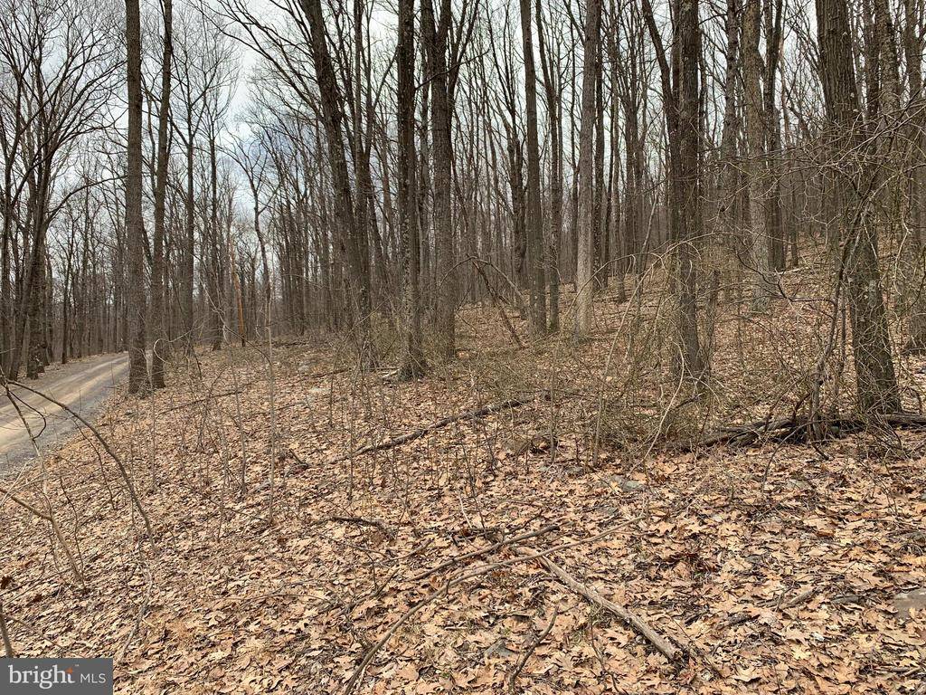 Clearville, PA 15535,LOT 5 MONROE MOUNTAIN ROAD