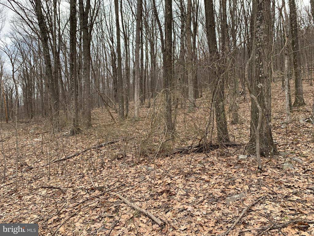 Clearville, PA 15535,LOT 5 MONROE MOUNTAIN ROAD