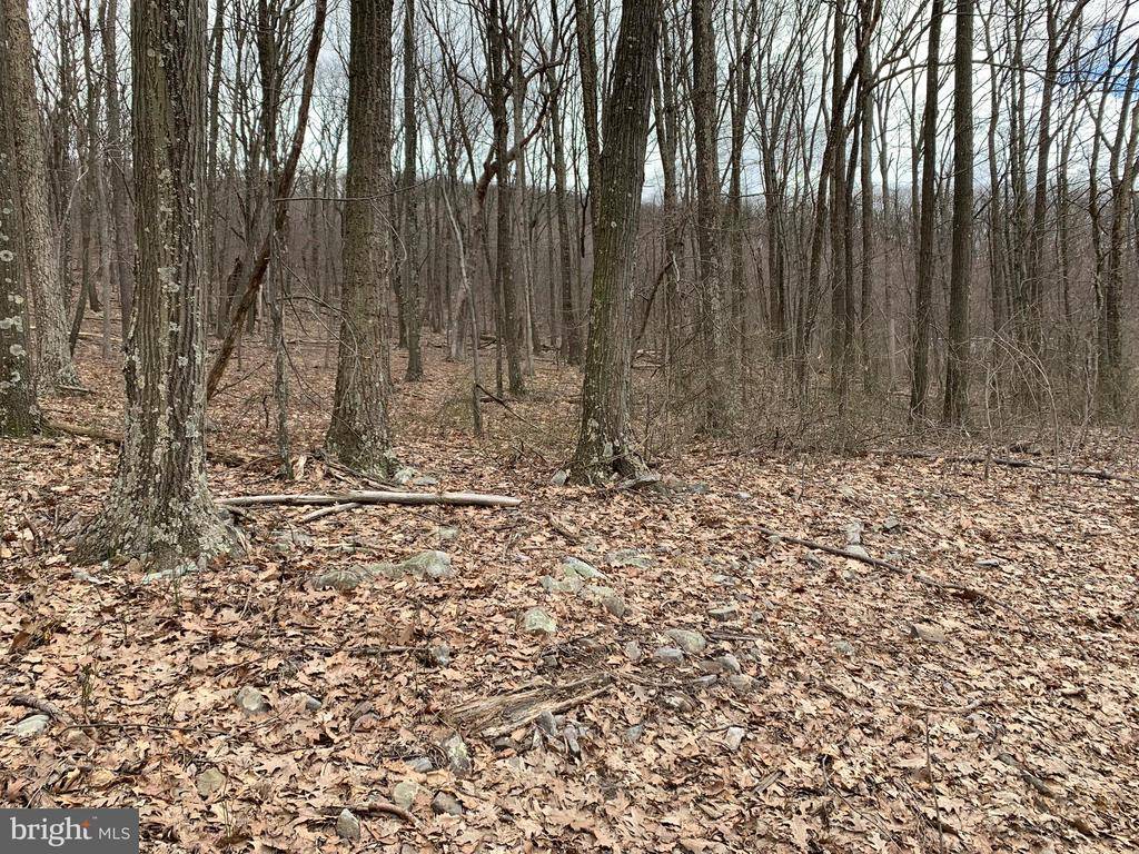 Clearville, PA 15535,LOT 5 MONROE MOUNTAIN ROAD