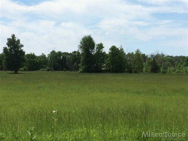 Ira Twp, MI 48023,000 E ARNOLD