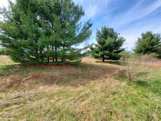 Dryden Twp, MI 48428,0 SANTA FE TRAIL