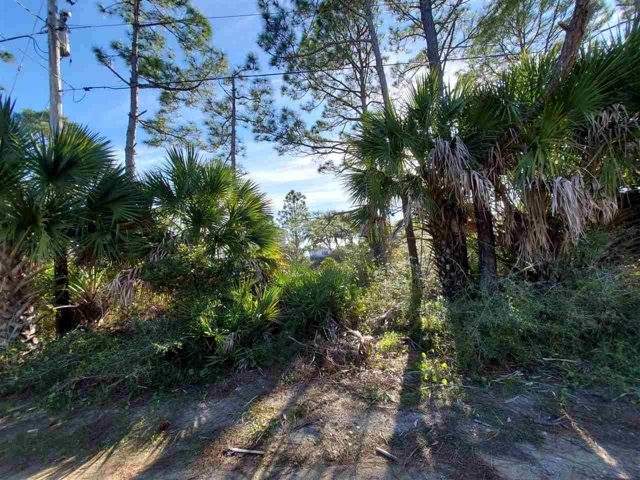 Alligator Point, FL 32346,1449 Cypress Street