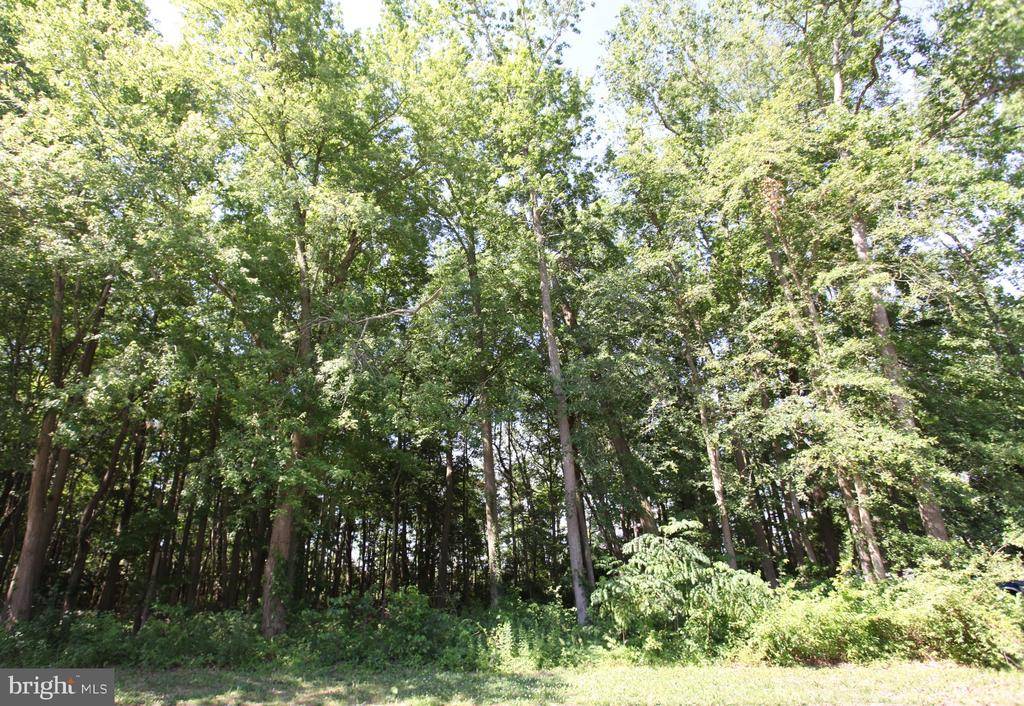 Pocomoke City, MD 21851,LOT 18 WHITE OAK LN