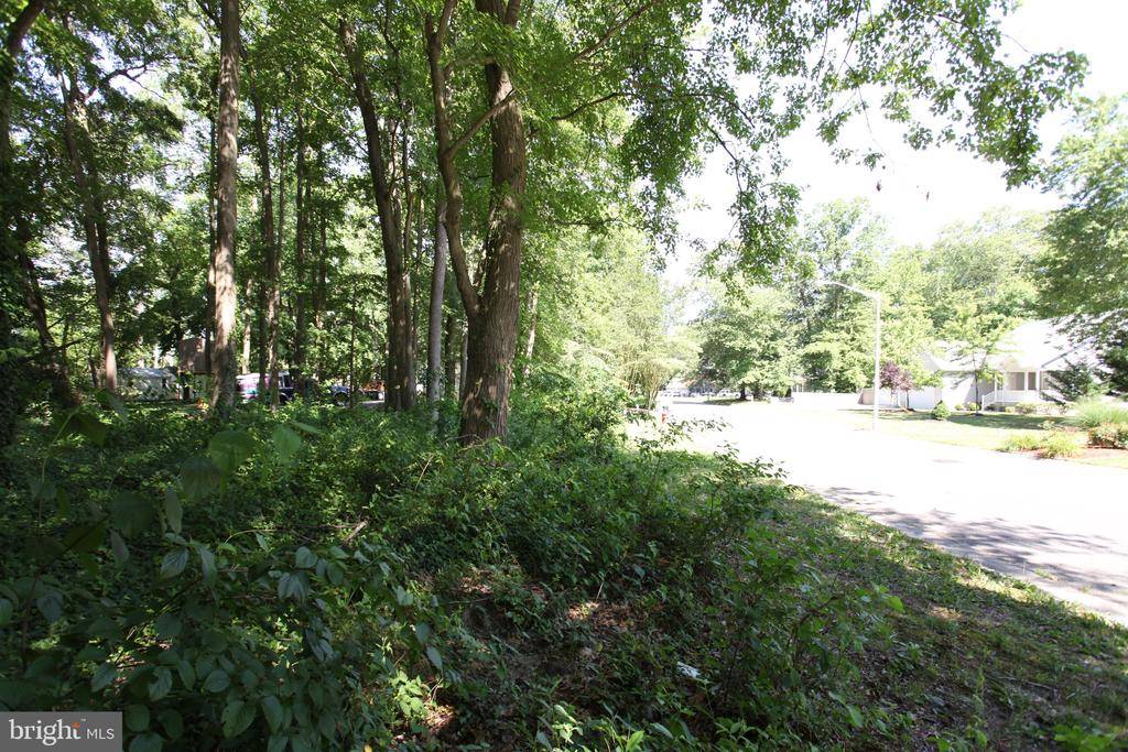 Pocomoke City, MD 21851,LOT 18 WHITE OAK LN