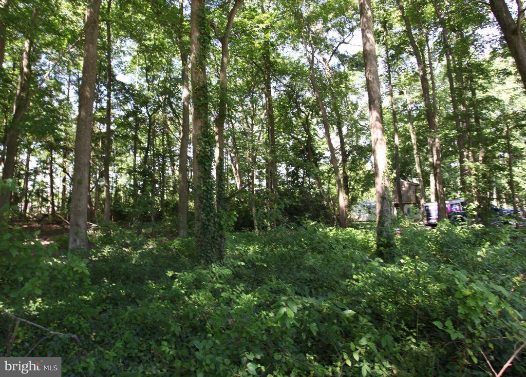 Pocomoke City, MD 21851,LOT 18 WHITE OAK LN