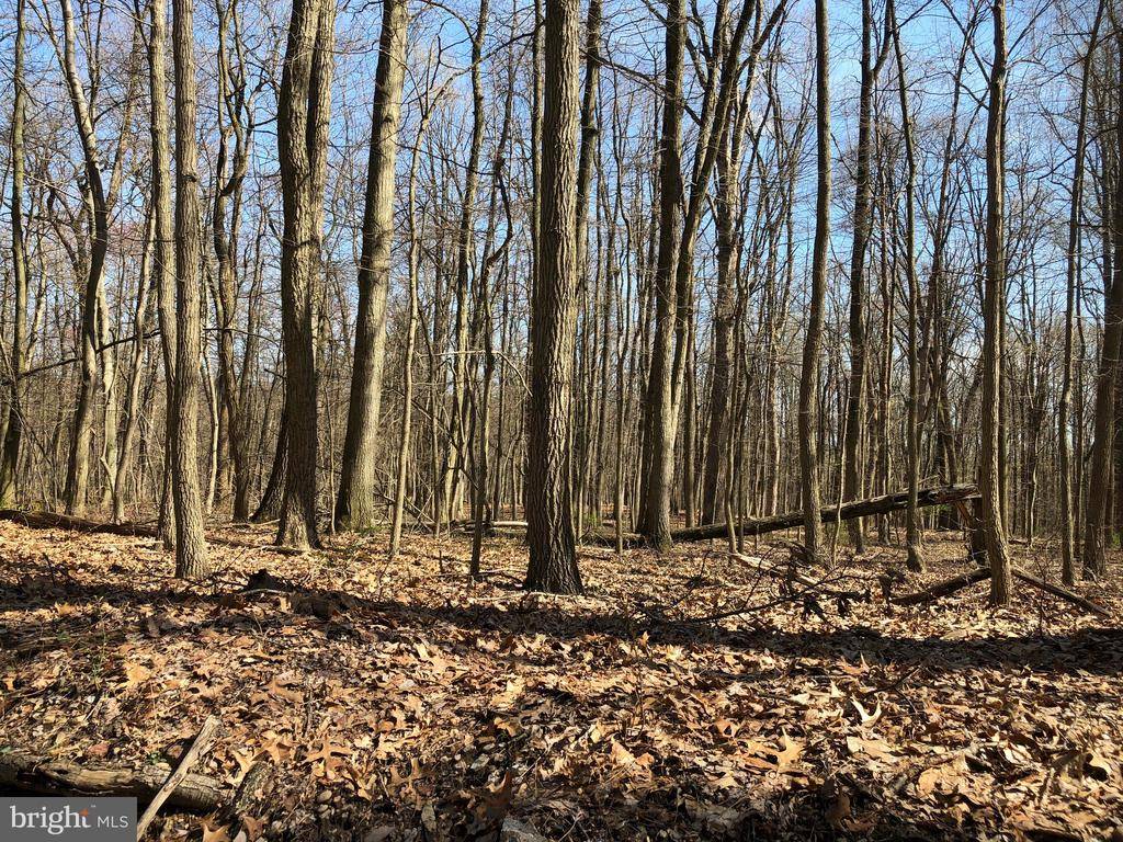 Lebanon, PA 17042,485 OLD MINE RD #LOT 1