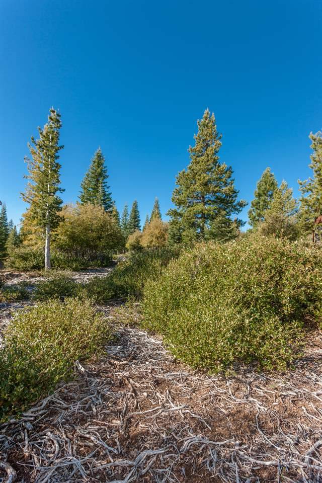 Truckee, CA 96161,15531 Glacier Way