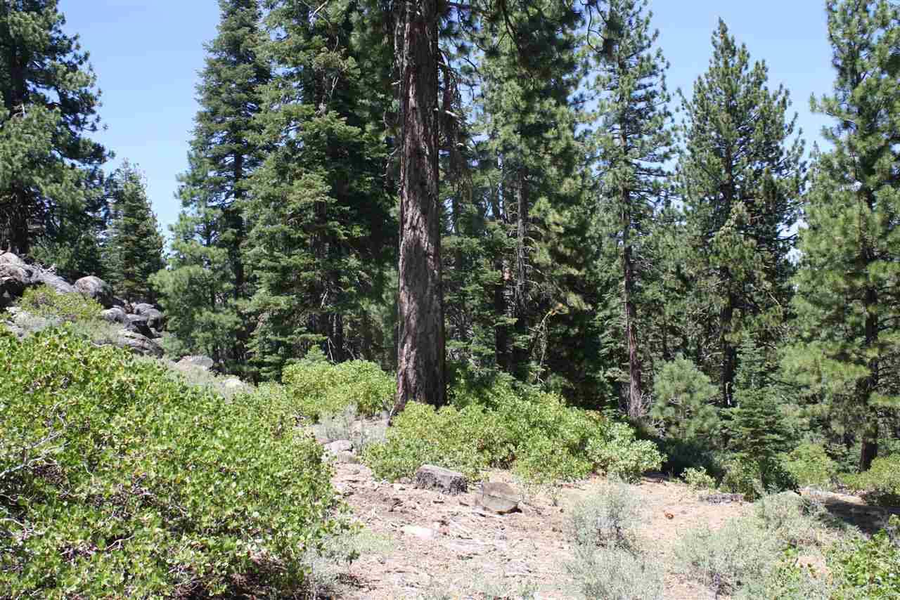 Truckee, CA 96161,11893 Coburn Drive