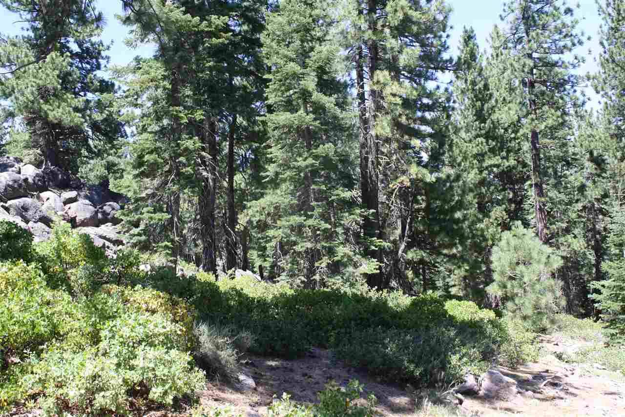 Truckee, CA 96161,11893 Coburn Drive