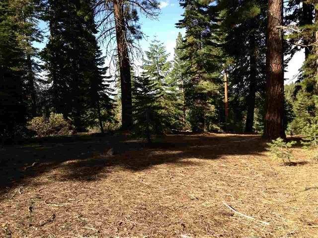 Truckee, CA 96161,11885 Rio Vista Drive