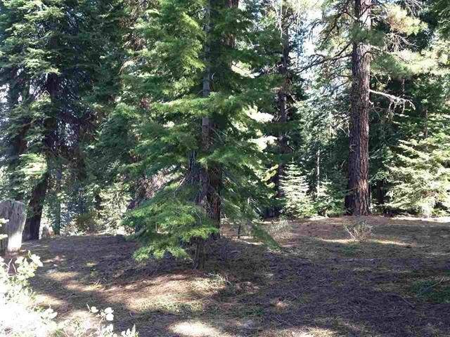 Truckee, CA 96161,11885 Rio Vista Drive