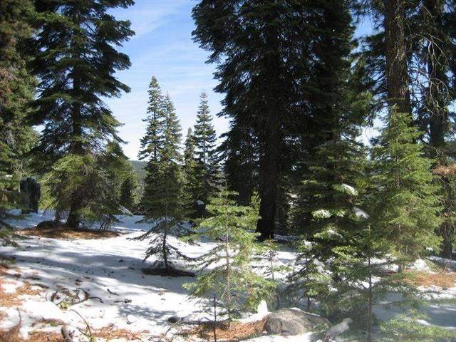 Truckee, CA 96161,11885 Rio Vista Drive