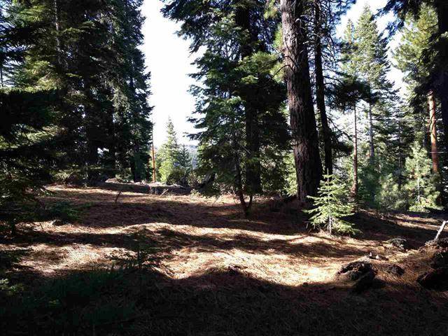 Truckee, CA 96161,11885 Rio Vista Drive