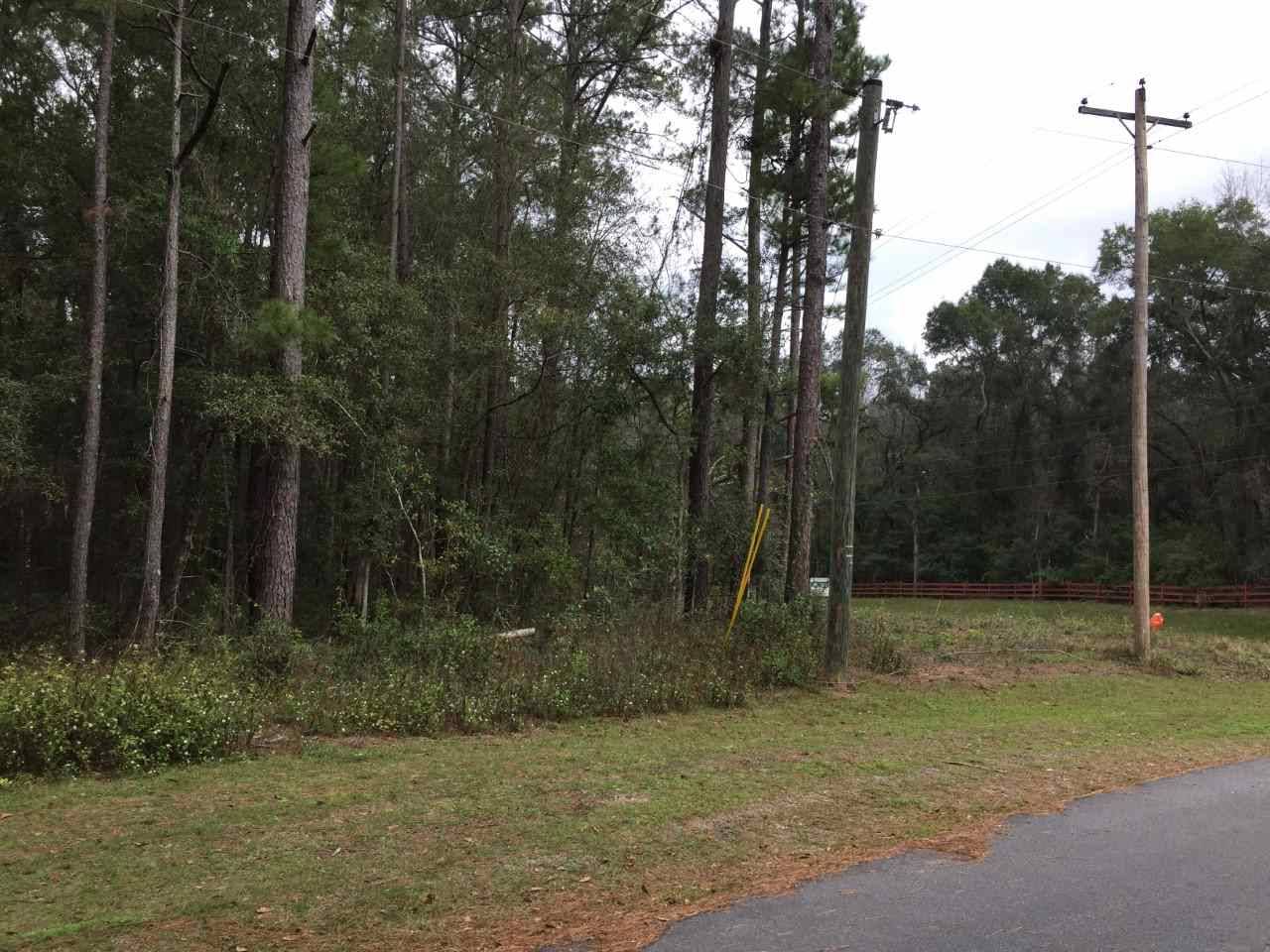 Monticello, FL 32344,0000 Woodland Drive