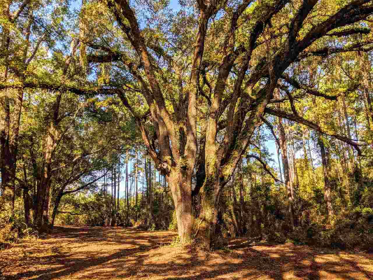 Monticello, FL 32344,000 Thompson Valley Road