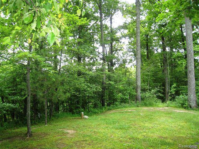 Deerfield Twp, MI 48430,00 DRIFTWOOD TRL