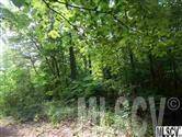 Taylorsville, NC 28681,999 Robin Lane
