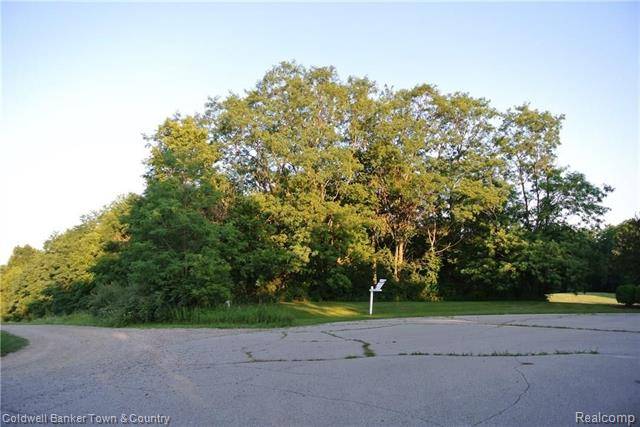 Putnam Twp, MI 48169,00 Thornapple DR