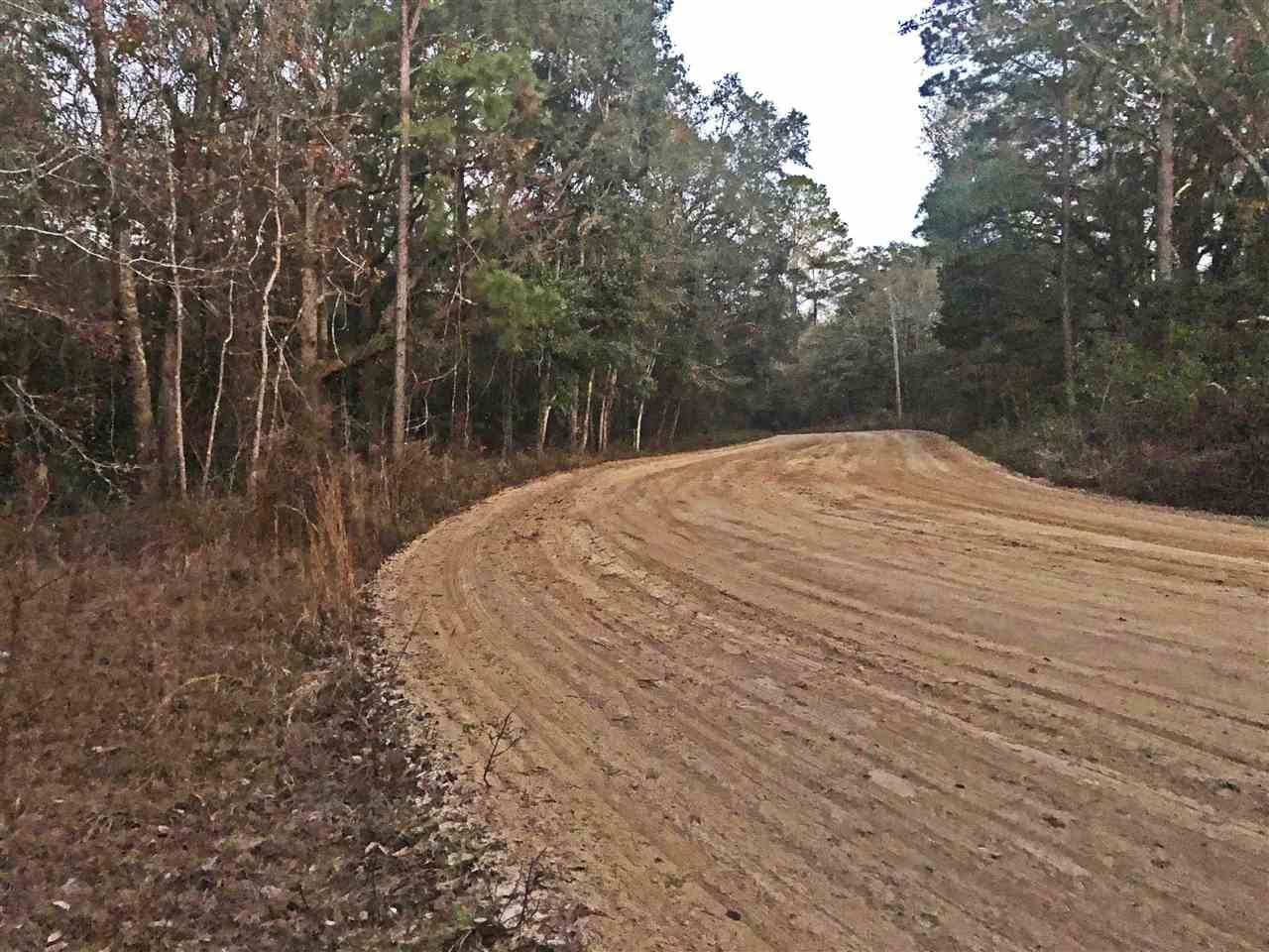 Greenville, FL 32331,929 E Buckhorn Trail