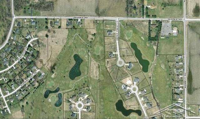 Thomas Twp, MI 48609,EAGLE CREST LOT 49