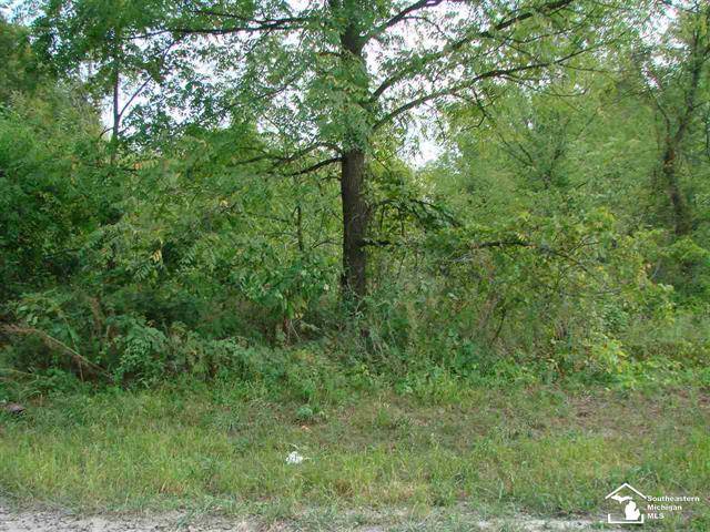 Ida Twp, MI 49270,00 WELLS RD PARCEL 3