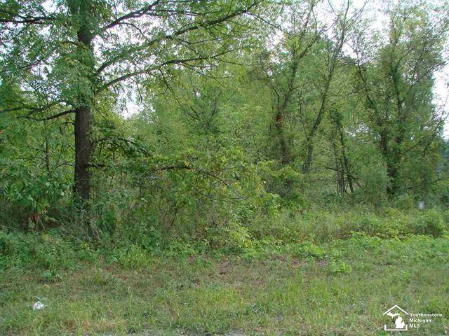 Ida Twp, MI 49270,00 WELLS RD PARCEL 3