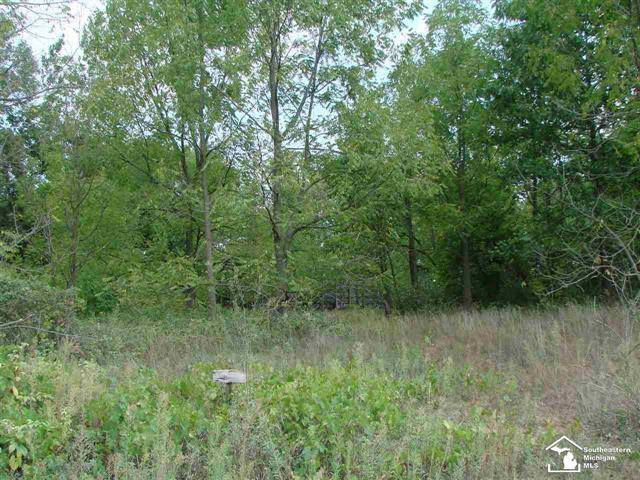 Ida Twp, MI 49270,00 WELLS RD PARCEL 3