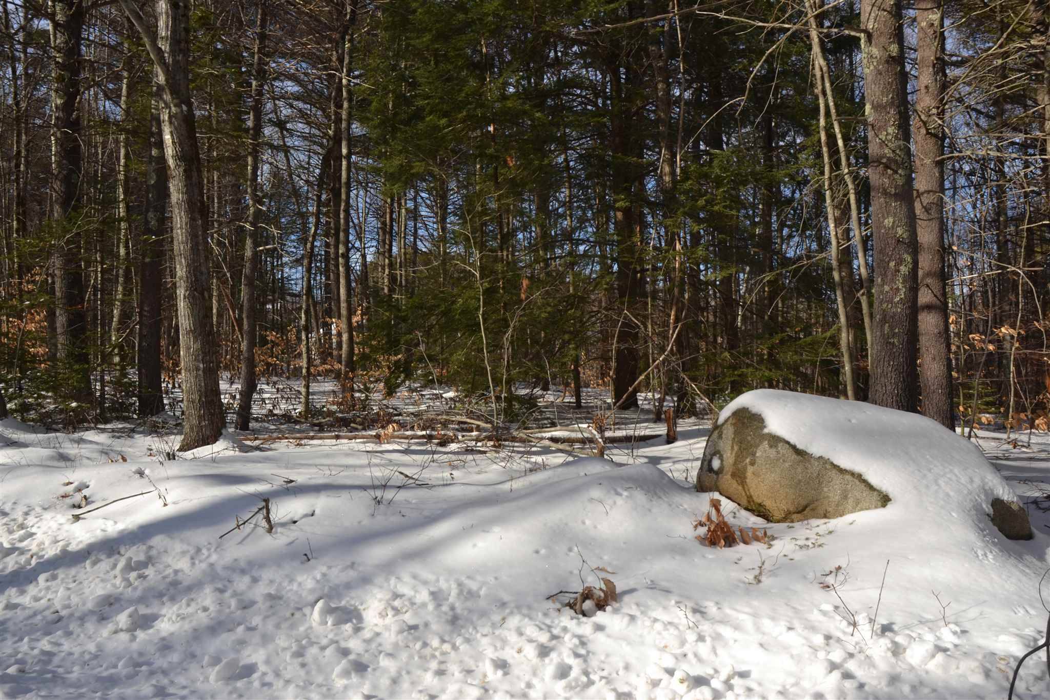 Tuftonboro, NH 03816,Lot 60-15 Neal Hill RD #15