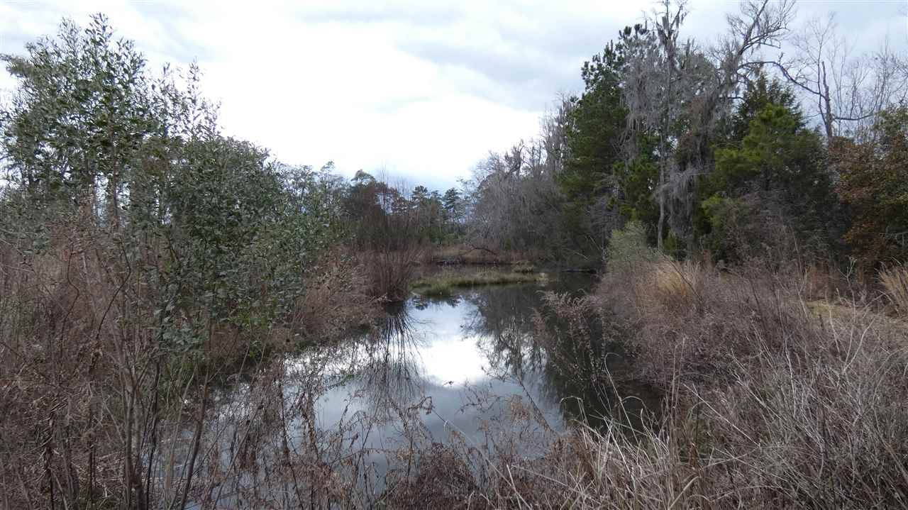 Monticello, FL 32344,TBD Oetinger Road