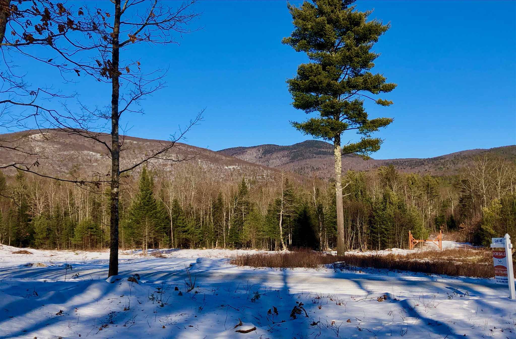 Tuftonboro, NH 03816,#40 Mountain Shadows RD #Lot 40