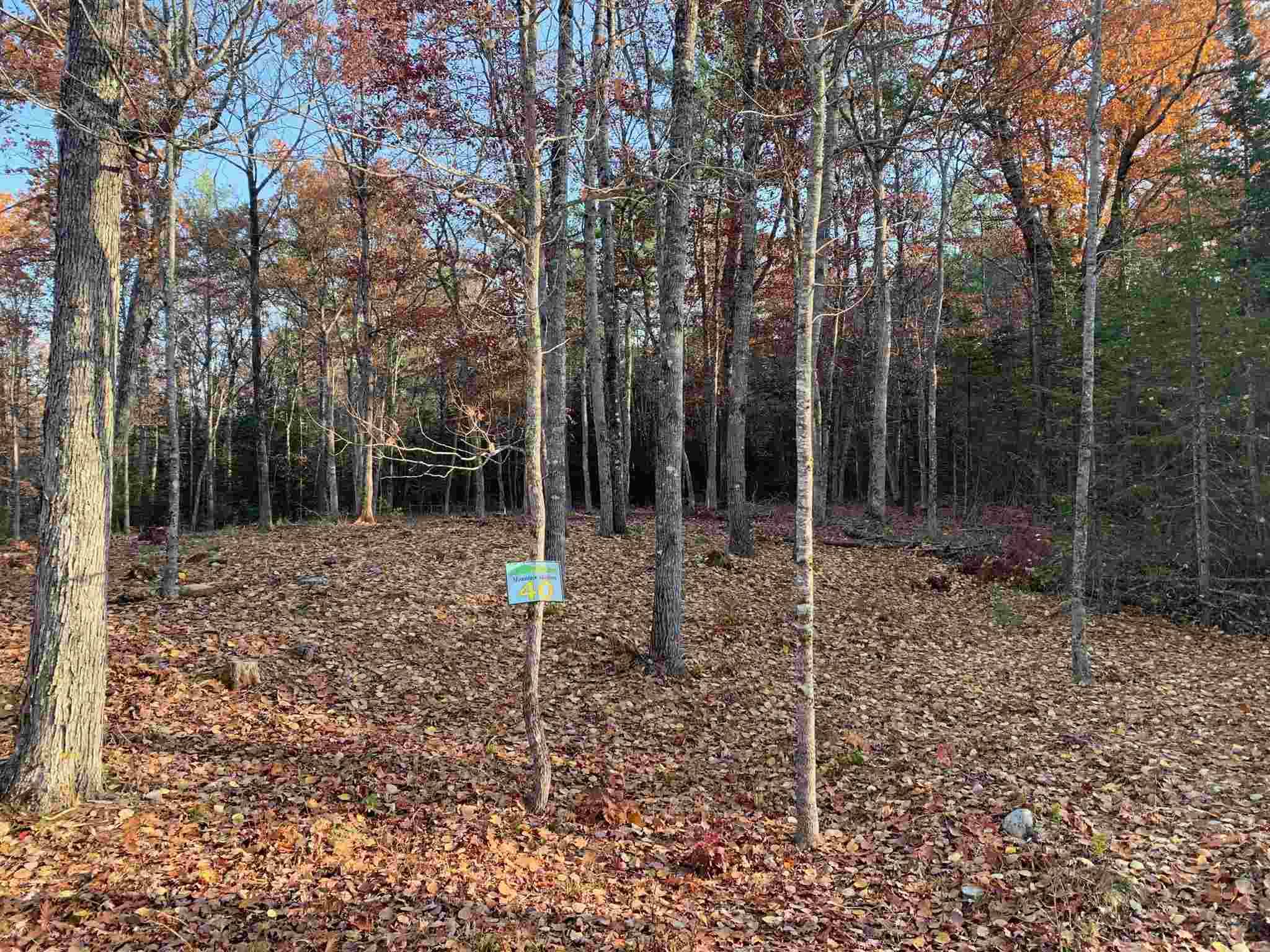 Tuftonboro, NH 03816,#40 Mountain Shadows RD #Lot 40