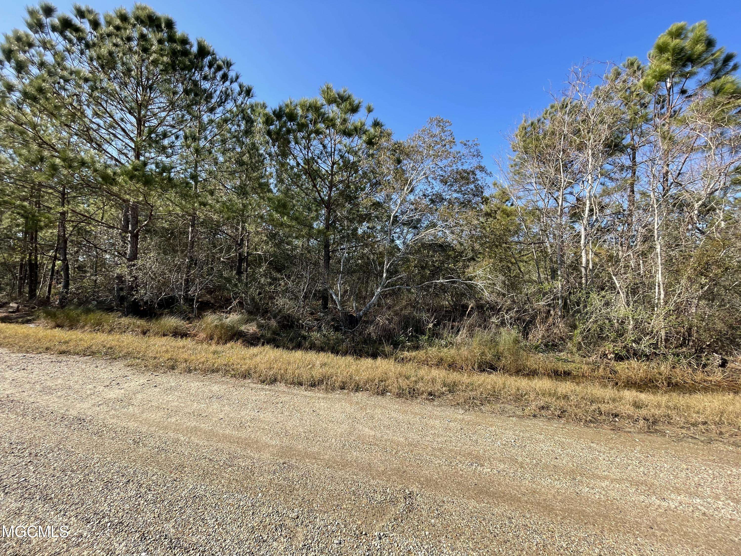 Bay St. Louis, MS 39520,Lot 3 Avenue E