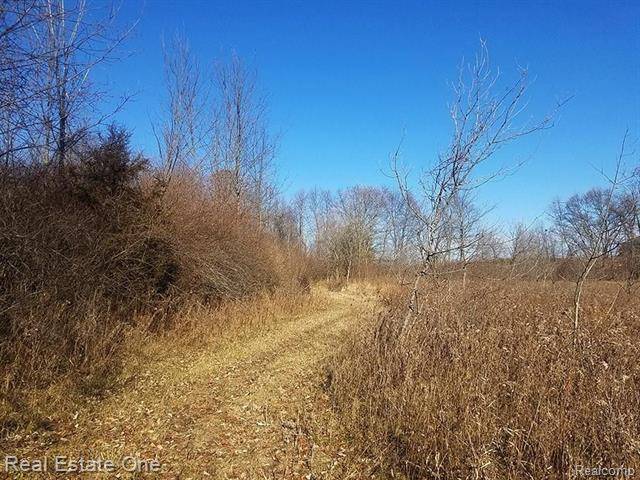 Cohoctah Twp, MI 48855,0000 Sanford RD