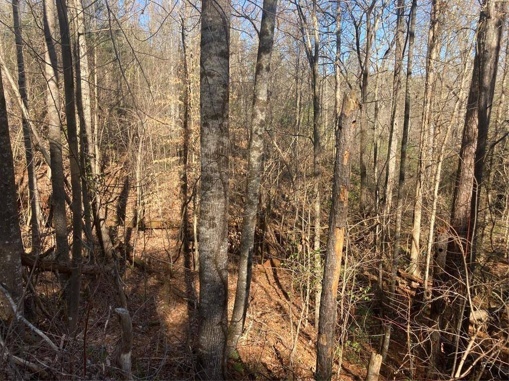 Gainesville, GA 30506,5936 WELLINGTON AVE