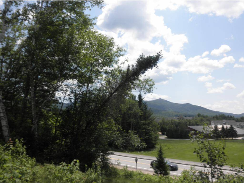 Waterville Valley, NH 03215,6 Lost Pass RD