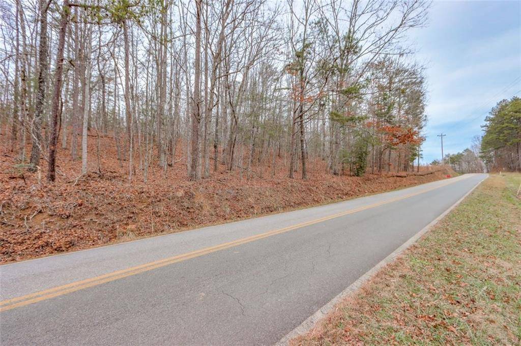 Mineral Bluff, GA 30559,0 Cutcane RD