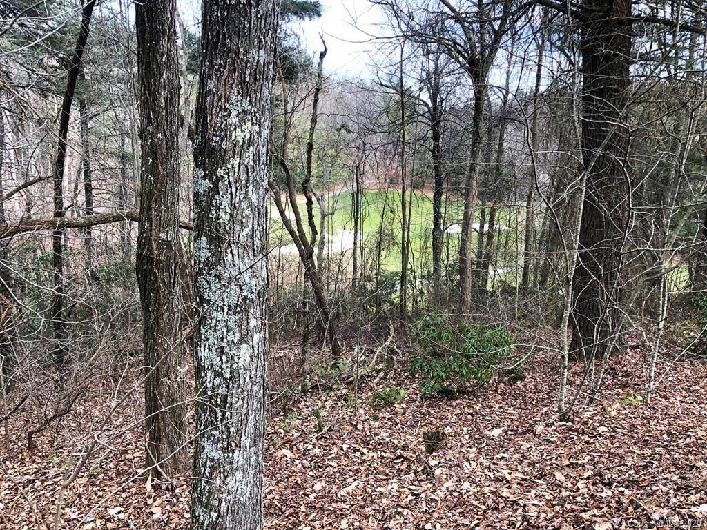 Hendersonville, NC 28739,1036 Indian Cave Road #104