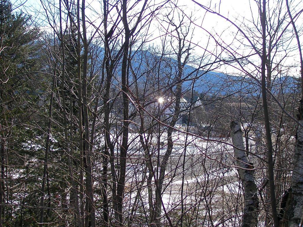 Waterville Valley, NH 03215,3 Drakes Brook RD