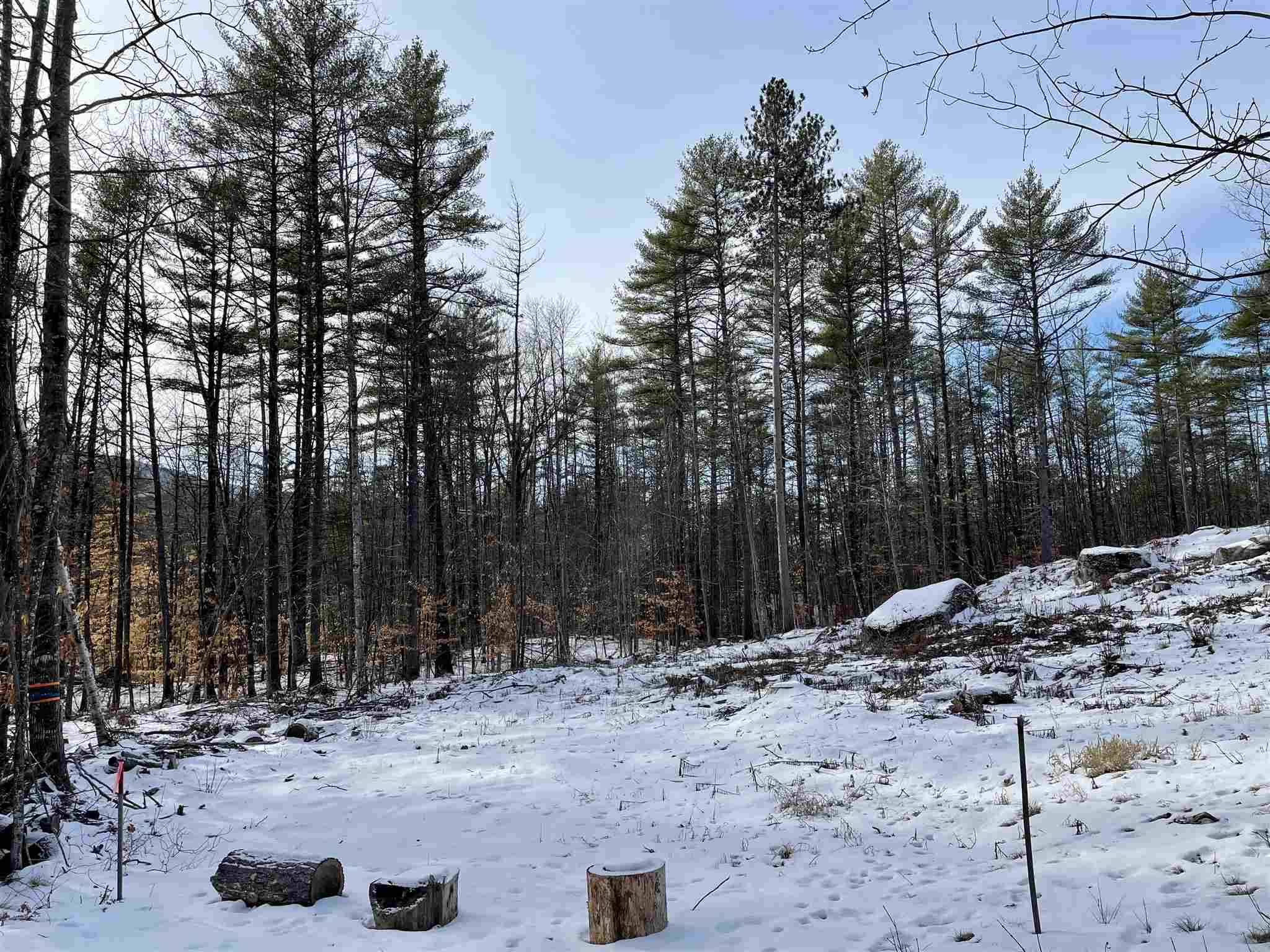 Freedom, NH 03836,Lot 12 Kidder DR ##12