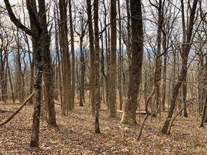 Jasper, GA 30143,0 Big Stump Mountain TRL