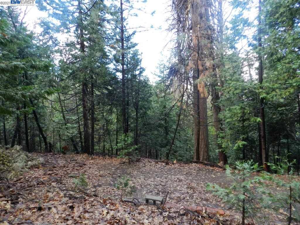Sonora, CA 95370,Lot211 Hitching Post Rd