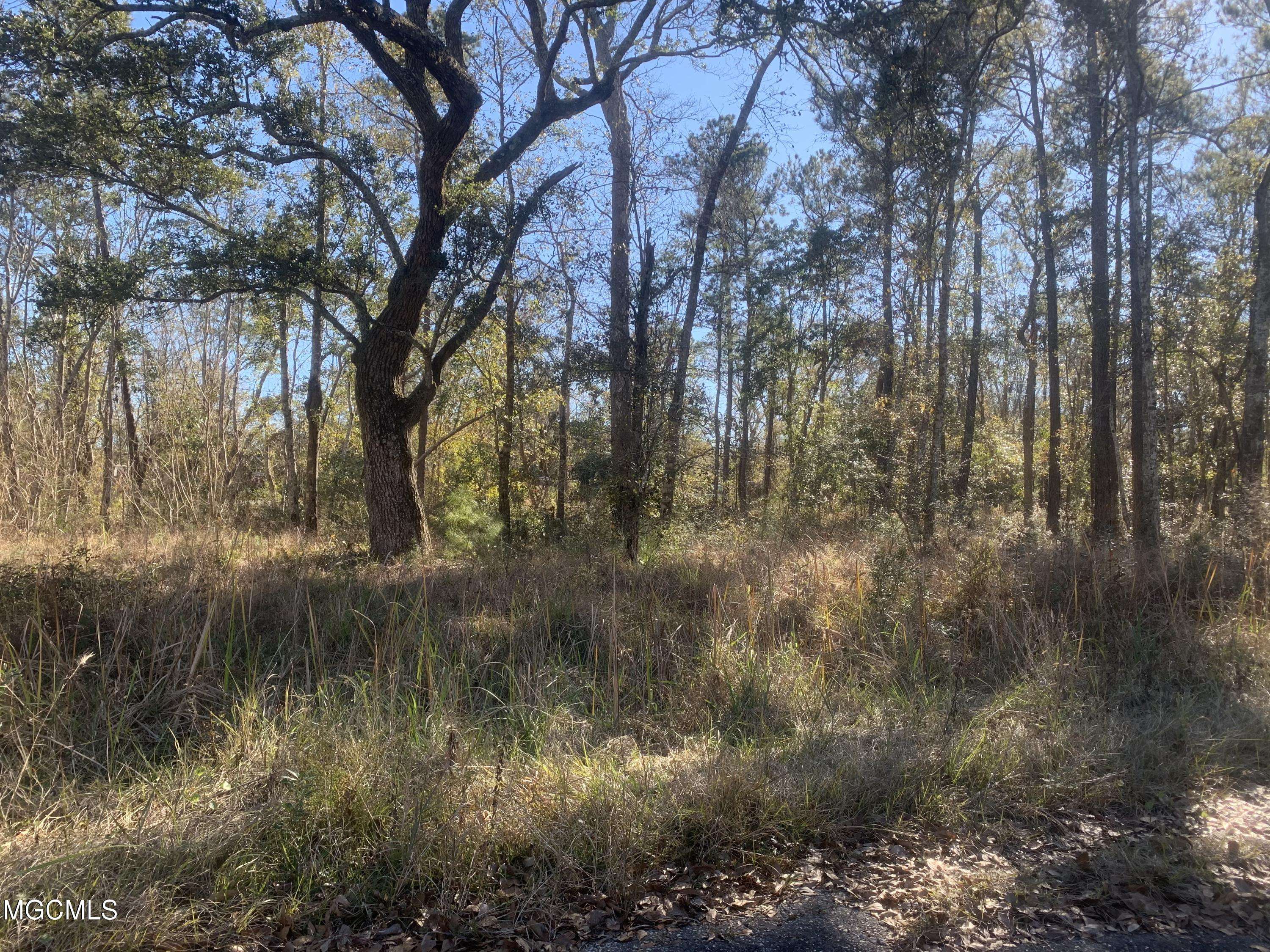 Gautier, MS 39553,1 Sand Pine Cv
